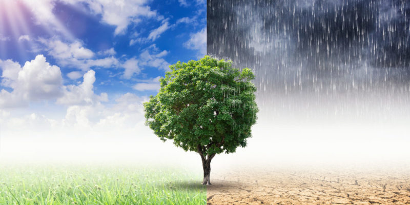 Blog del Cambio Climático